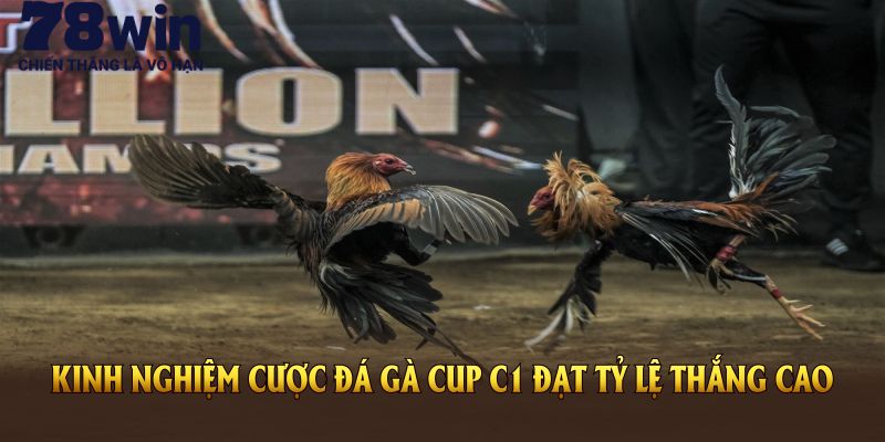 78Win mách bạn kinh nghiệm cược đá gà cup C1 đạt tỷ lệ thắng cao