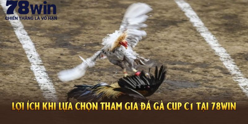 Lợi ích khi lựa chọn tham gia đá gà cup C1 tại 78Win