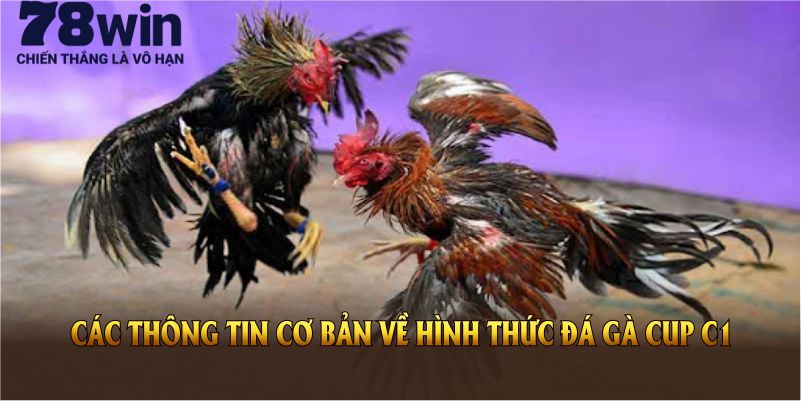 Các thông tin cơ bản về hình thức đá gà Cup C1 tại 78Win